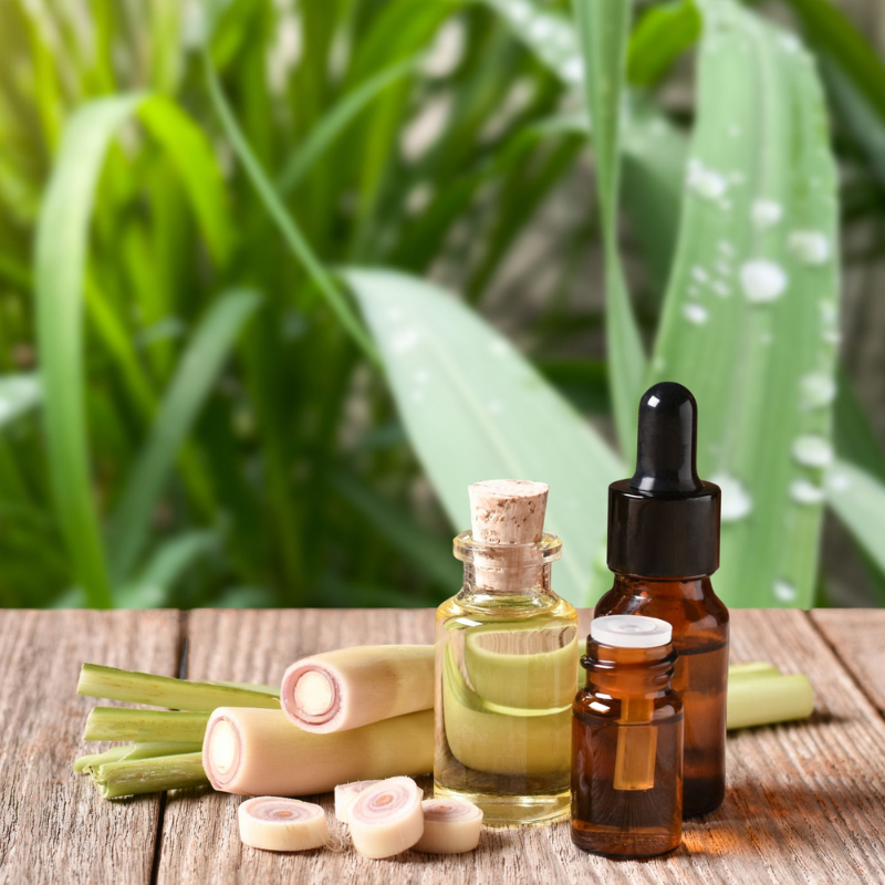 Lemongrass Essential Oil